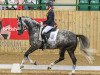 dressage horse George Clooney B.s (KWPN (Royal Dutch Sporthorse), 2011, from Caesar)