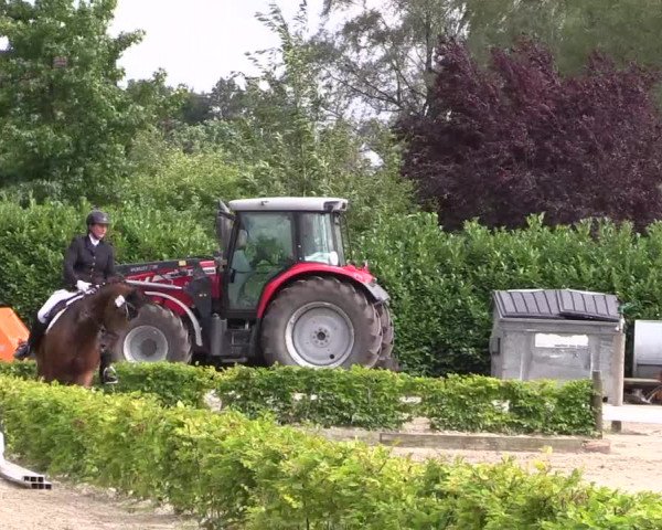 Reitturnier Olfen-Vinnum 2017
