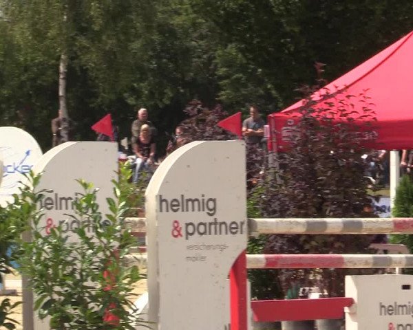 Reitturnier Olfen-Vinnum 2017