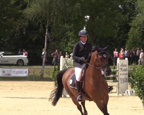 Reitturnier Olfen-Vinnum 2017