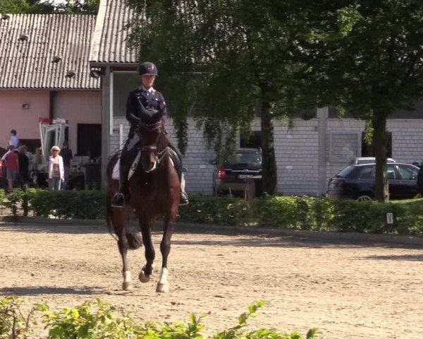 Reitturnier Olfen-Vinnum 2017