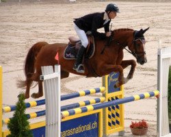 jumper Baloubelle CH (Swiss Warmblood, 2008, from Baloubet du Rouet)