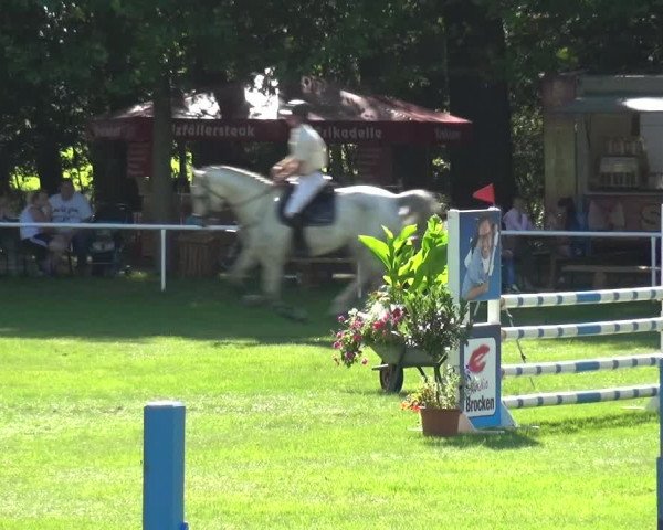 Reitturnier Zobbenitz 2017