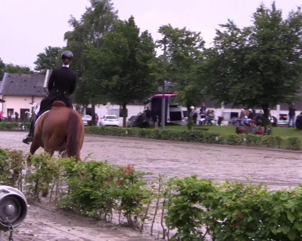 Reitturnier Olfen-Vinnum 2017