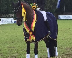 dressage horse Statement (Trakehner, 2013, from Oliver Twist)