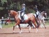 broodmare Ulfenbach Darling C (German Riding Pony, 2007, from Derano Gold)