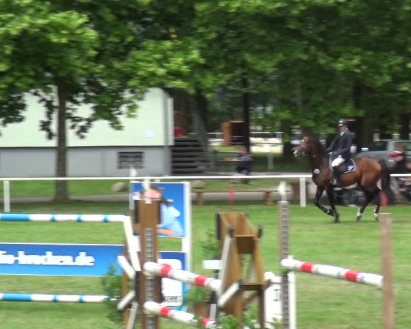 Reitturnier Zobbenitz 2017