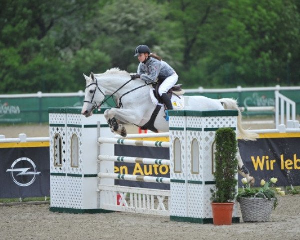 jumper Celica (Oldenburg show jumper, 2004, from Cafe au lait 2)