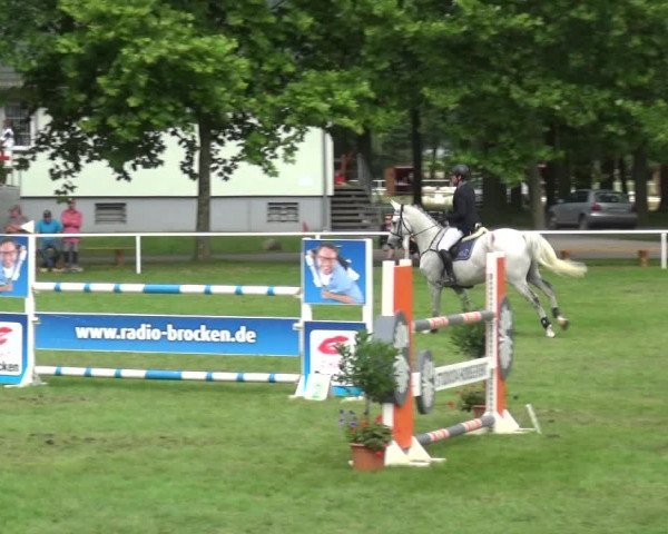 Reitturnier Zobbenitz 2017