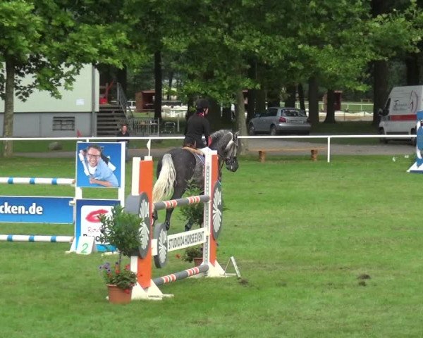 Reitturnier Zobbenitz 2017