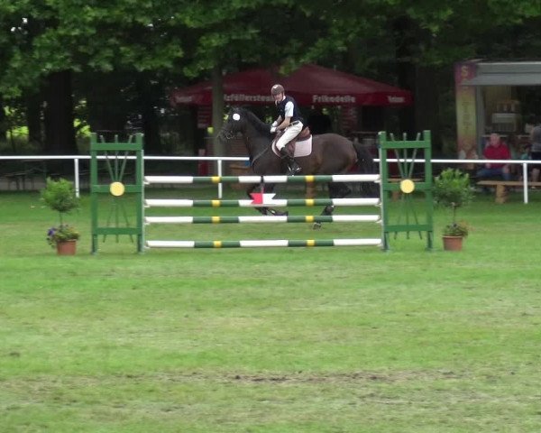 Reitturnier Zobbenitz 2017