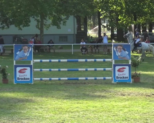 Reitturnier Zobbenitz 2017