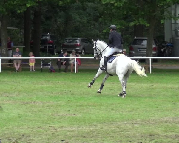 Reitturnier Zobbenitz 2017