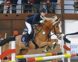 jumper Dany Plus (Deutsches Reitpony, 1998, from Domingo)