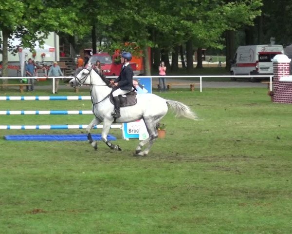 Reitturnier Zobbenitz 2017