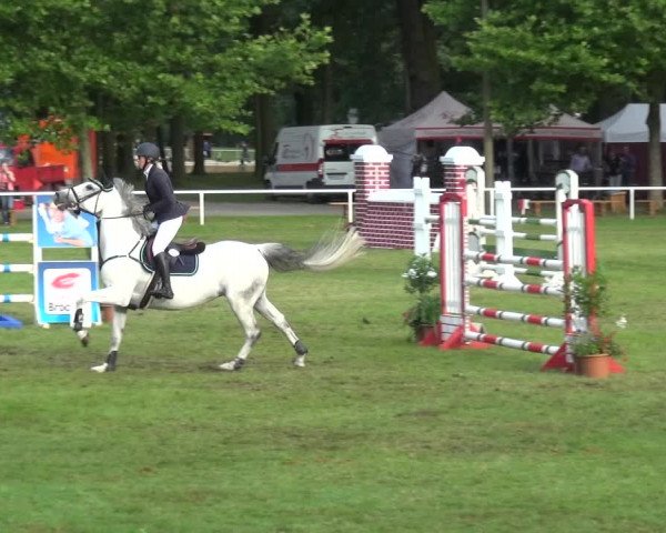 Reitturnier Zobbenitz 2017