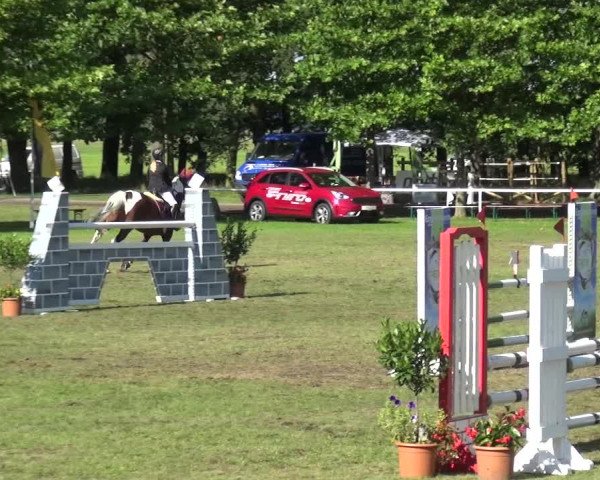 Reitturnier Zobbenitz 2017