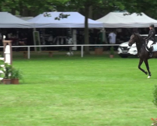 Reitturnier Zobbenitz 2017