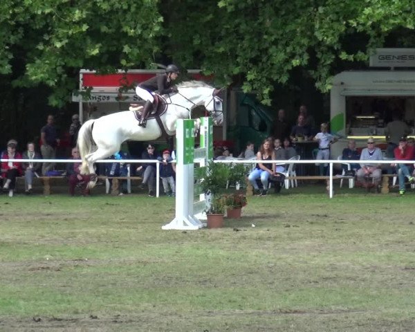 Reitturnier Zobbenitz 2017