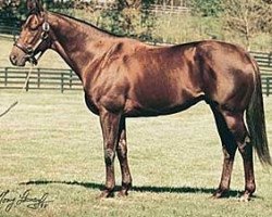 stallion Banker´s Gold xx (Thoroughbred, 1994, from Forty Niner xx)