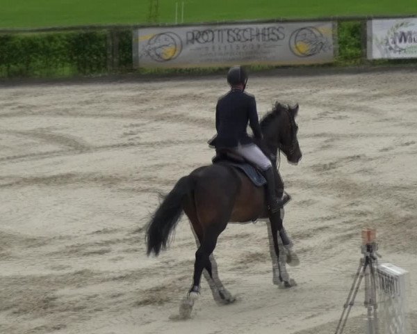 Reitturnier Monschau-Mützenich 2017