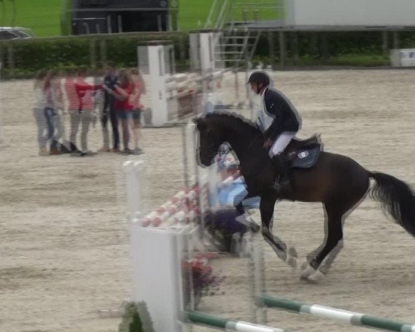 Reitturnier Monschau-Mützenich 2017