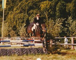 broodmare Franka (Hessian Warmblood, 1977, from Furioso's Sohn)