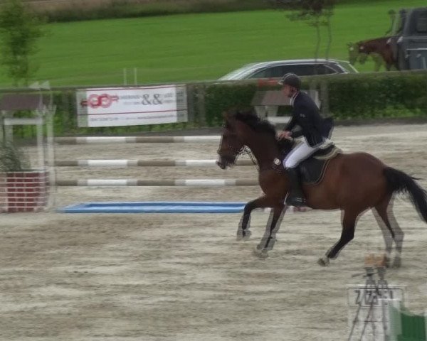 Reitturnier Monschau-Mützenich 2017