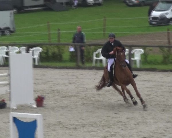 Reitturnier Monschau-Mützenich 2017