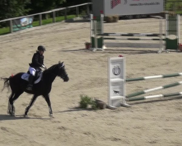 Reitturnier Monschau-Mützenich 2017
