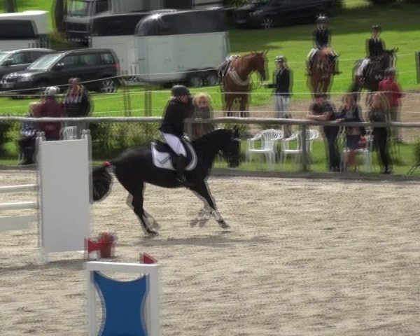 Reitturnier Monschau-Mützenich 2017