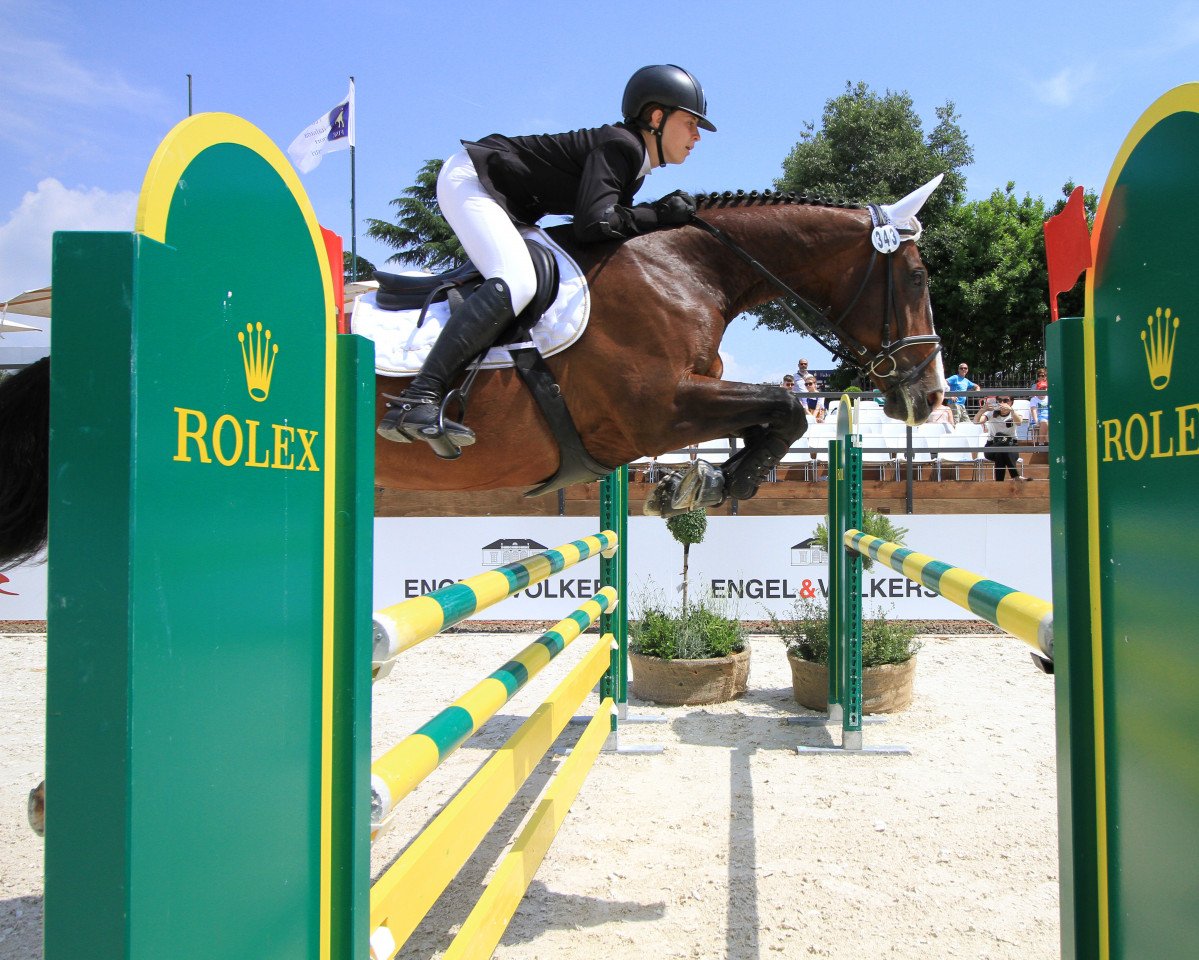 broodmare Fine Cera van het Dingeshof (Belgian Warmblood, 2005, from Feliciano)