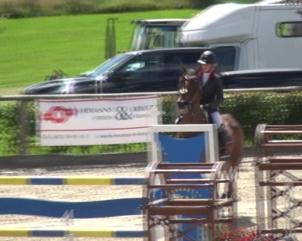 Reitturnier Monschau-Mützenich 2017