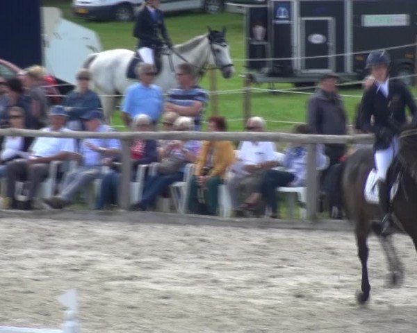 Reitturnier Monschau-Mützenich 2017