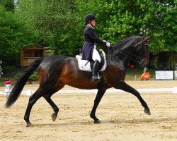 dressage horse Keep Smiling KS (Oldenburg, 2009, from Kaiserkult TSF)