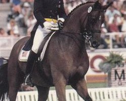 horse Walzertakt (Hanoverian, 1978, from Weltmeister)