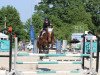 jumper Claire de Lune 8 (German Riding Pony, 2008, from Charivari)