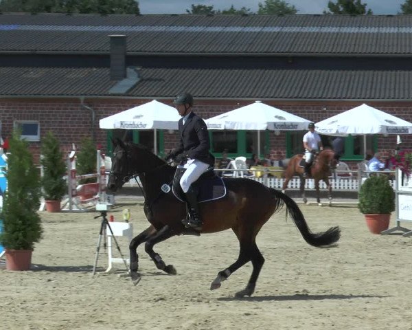 Reitturnier Ennigerloh-Neubeckum 2017