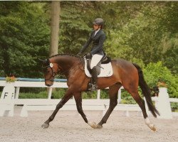 dressage horse For Filou (Oldenburg, 2014, from For Romance I)