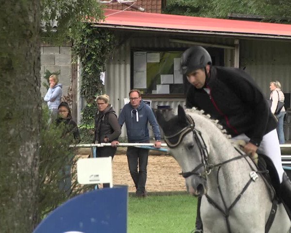 Reitturnier Memmingen 2017