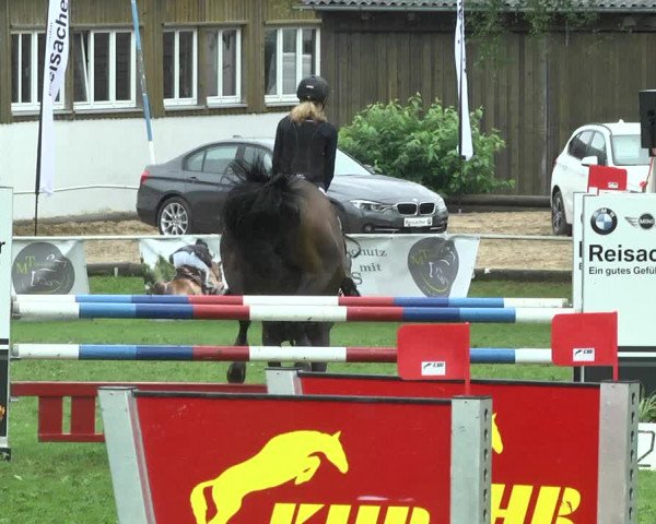 Reitturnier Memmingen 2017