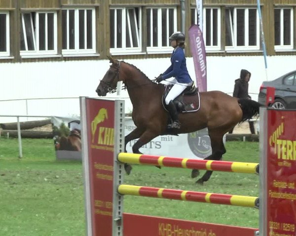 Reitturnier Memmingen 2017