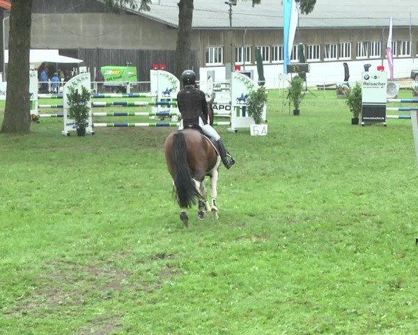 Reitturnier Memmingen 2017