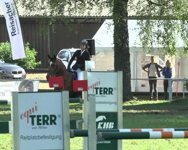 Reitturnier Memmingen 2017