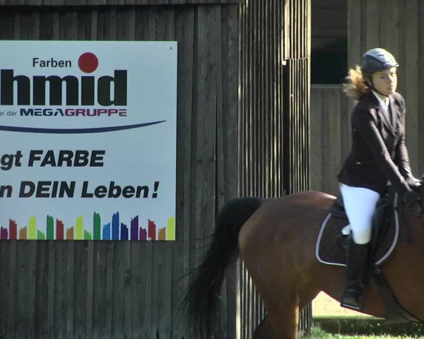Reitturnier Memmingen 2017