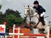 jumper Cayman 20 (Oldenburg show jumper, 2005, from Berlin)