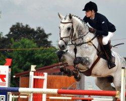 jumper Cayman 20 (Oldenburg show jumper, 2005, from Caspar (Berlin))