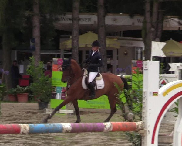 Reitturnier Waltrop 2017