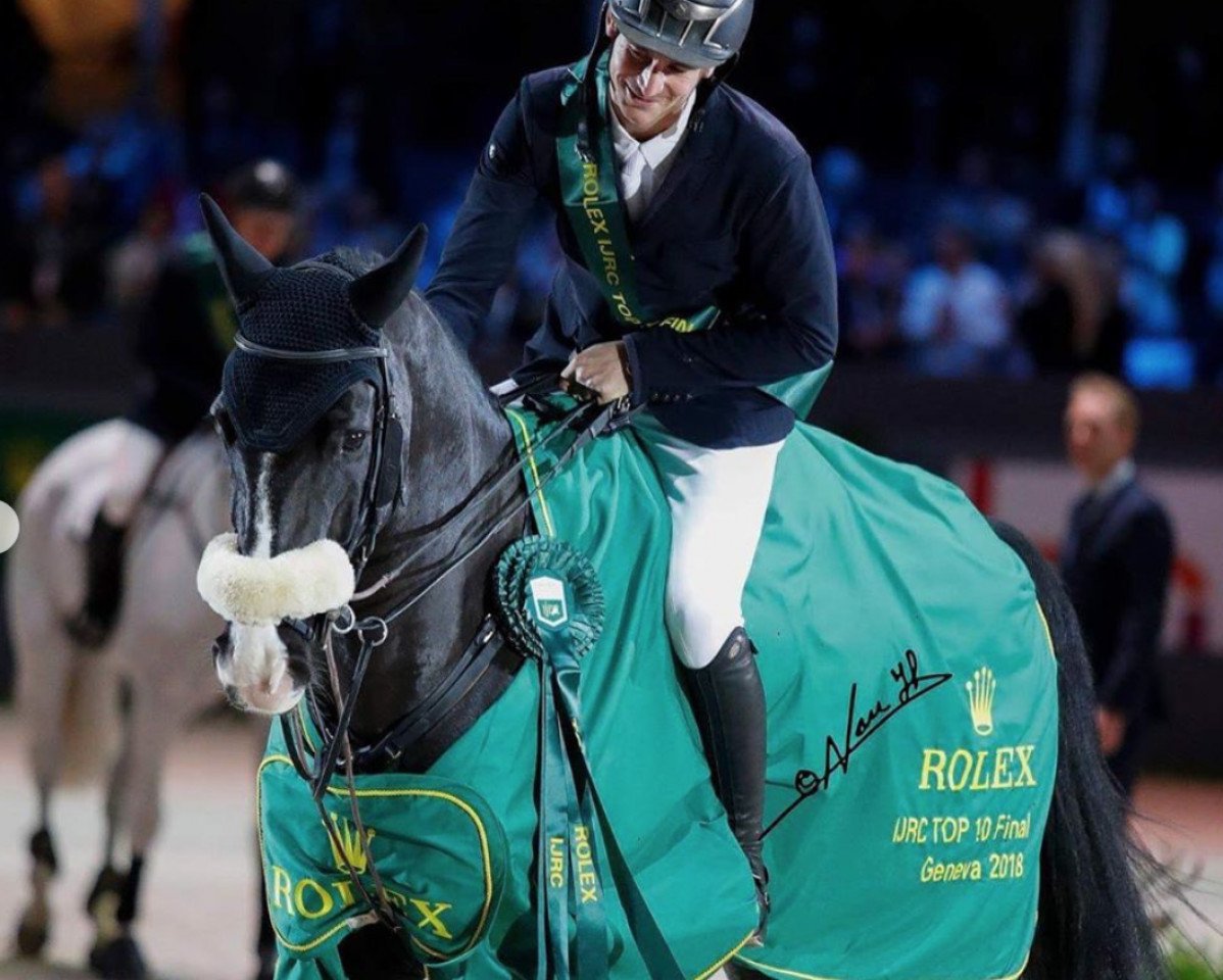 jumper Alamo (KWPN (Royal Dutch Sporthorse), 2008, from Ukato)