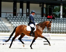 dressage horse Hacinia S (KWPN (Royal Dutch Sporthorse), 2012, from Bon Bravour)